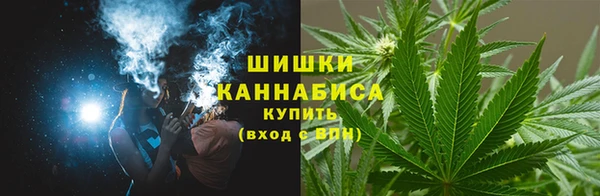 индика Богданович