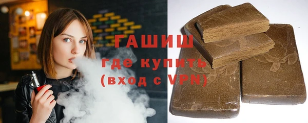 индика Богданович