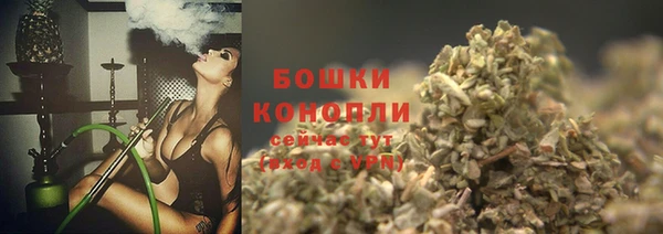 ПСИЛОЦИБИНОВЫЕ ГРИБЫ Богородицк
