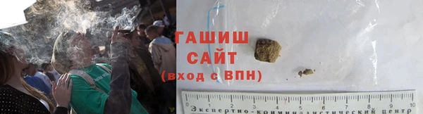 индика Богданович