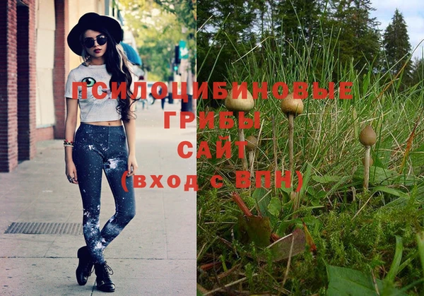 мет Белокуриха