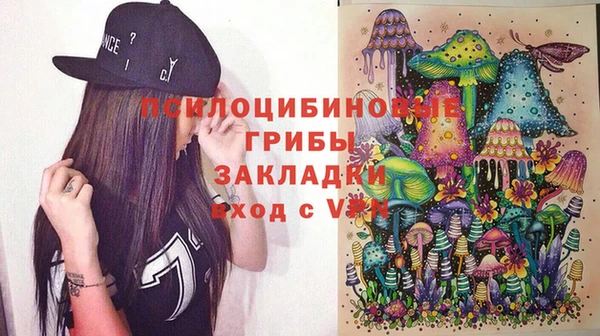 ПСИЛОЦИБИНОВЫЕ ГРИБЫ Богородицк