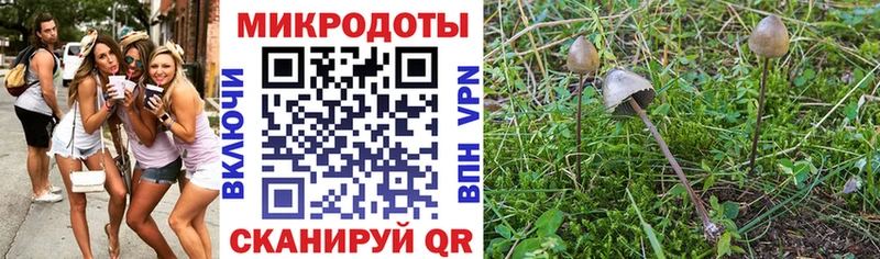 Галлюциногенные грибы ЛСД  Купить закладки  Ухта 